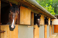 free Alder Row stable construction quotes