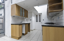 Alder Row kitchen extension leads